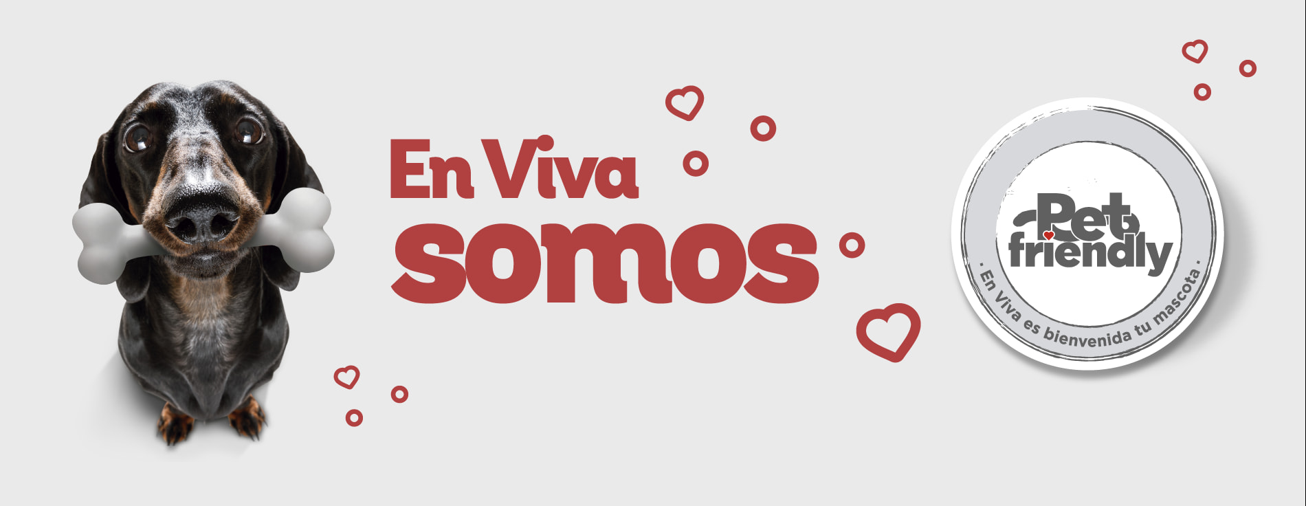 En viva somos pet friendly, en viva es bienvenida tu mascota