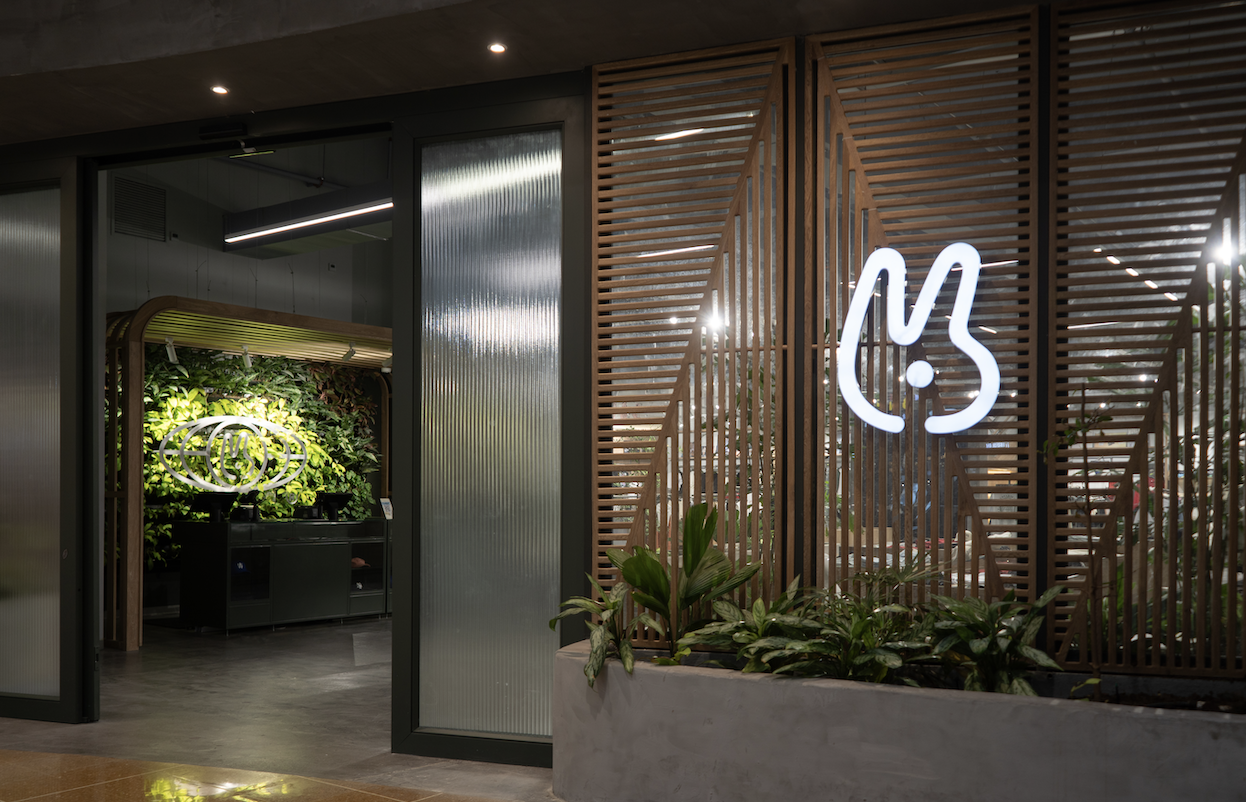 Mattelsa_Barranquilla