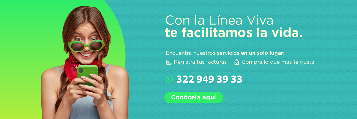 linea viva
