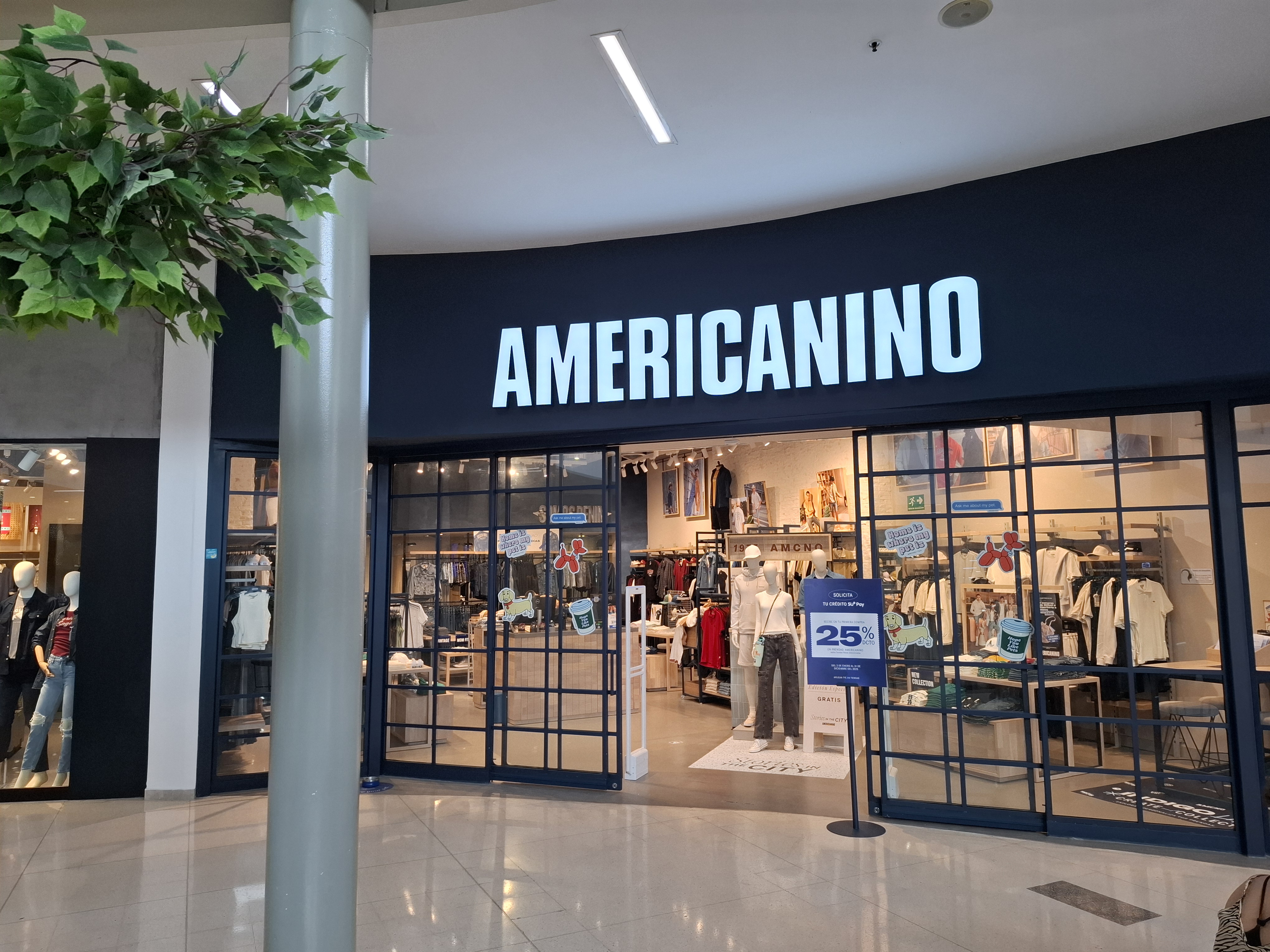 amricanino