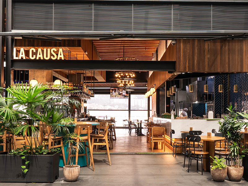 LA CAUSA