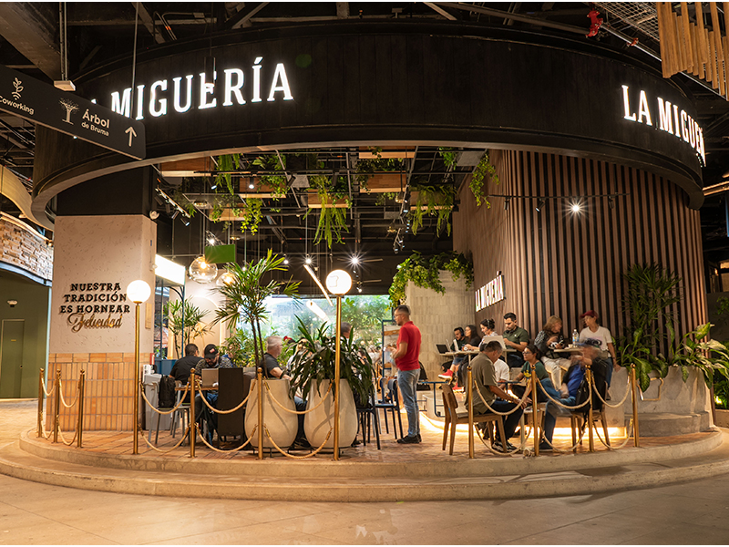 LA MIGUERÍA